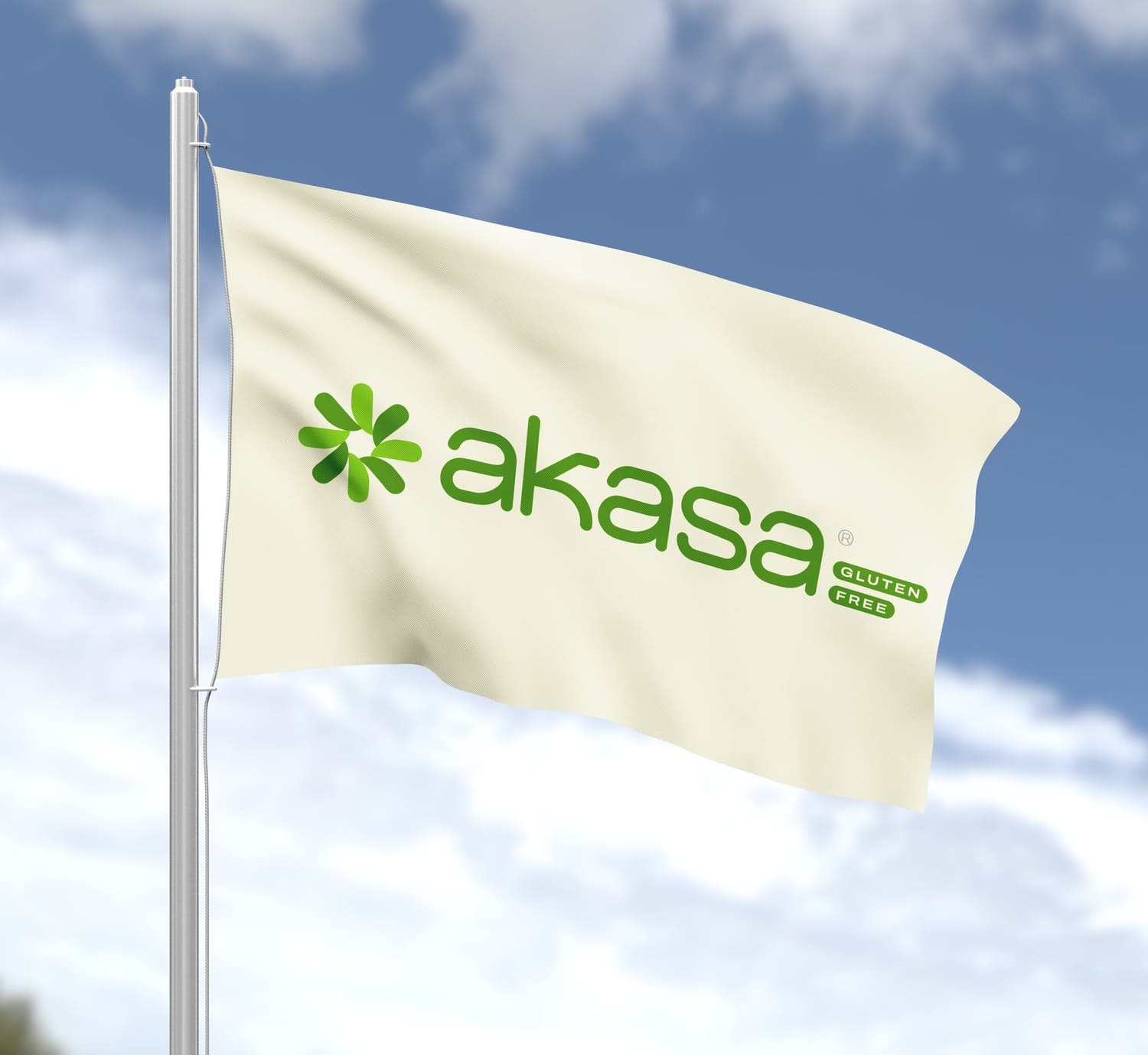 Flag Design | Akasa Foods | New York, USA