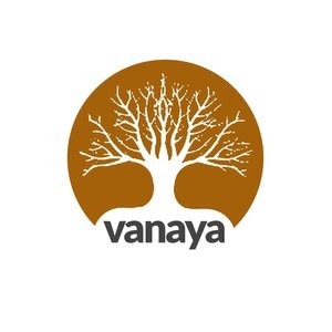 Branding for ayurvedic startup by creative branding agency