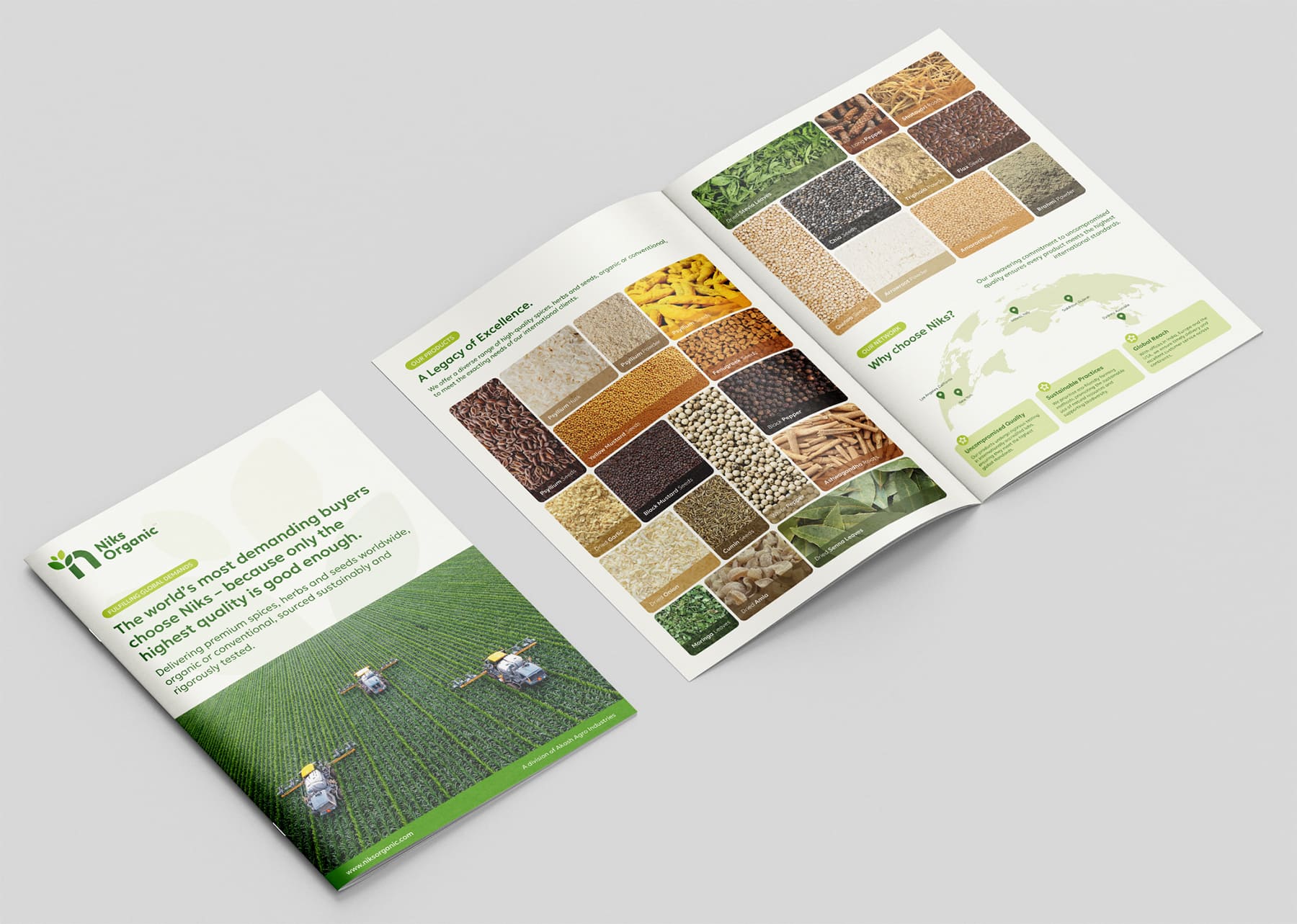 Brochure Design | Niks Organic | Gujarat, India