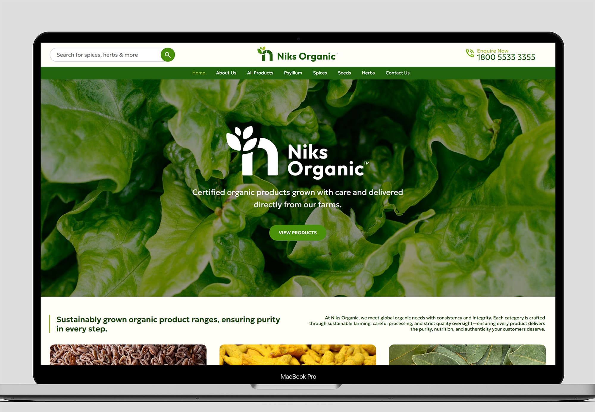 Website Design & Development | Niks Organic | Gujarat, India